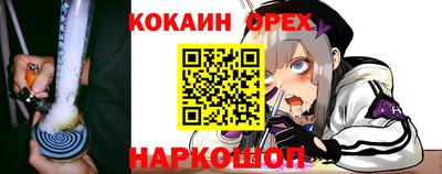 молекула духа Коммунар