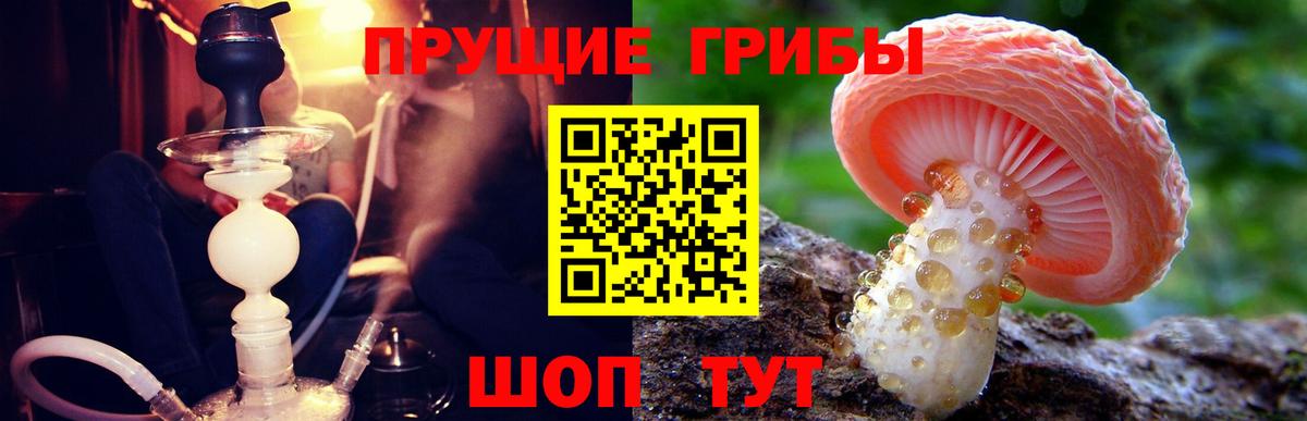 Галлюциногенные грибы ЛСД  купить   Красноармейск  Вход с VPN 